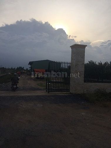 Bán 2000m2 đường số 4.Tân Nhựt.Bình Chánh.1.8 tỷ 54634374 Bán 2000m2 đường số 4.Tân Nhựt.Bình Chánh.1.8 tỷ