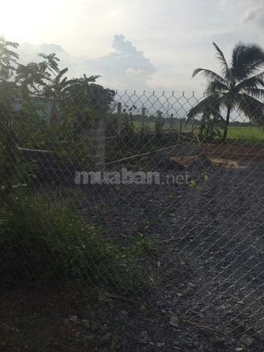 Bán 2000m2 đường số 4.Tân Nhựt.Bình Chánh.1.8 tỷ 54634374 Bán 2000m2 đường số 4.Tân Nhựt.Bình Chánh.1.8 tỷ