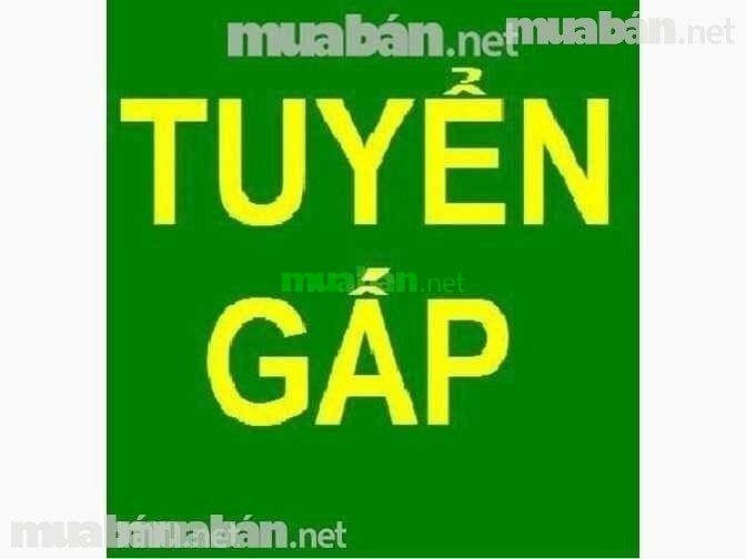 Công ty hiện cần tuyển gấp 04 nhân viên làm trong phòng nhân sự 54646623 Công ty hiện cần tuyển gấp 04 nhân viên làm trong phòng nhân sự