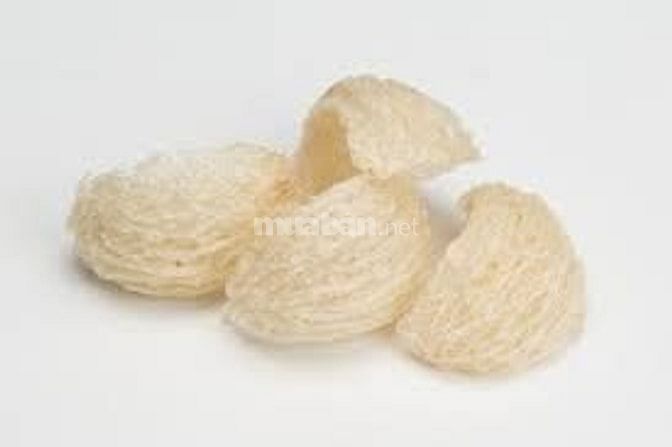 Yến sào Khánh Hòa Tăng cường sức khỏe 54642267 Yến sào Khánh Hòa Tăng cường sức khỏe