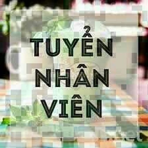 Cần tuyển gấp nhân viên văn phòng (Ưu tiên sinh viên mới ra trường) 54665439 Cần tuyển gấp nhân viên văn phòng (Ưu tiên sinh viên mới ra trường)