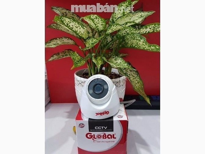 Trọn bộ 5 camera Global full HD 2.0M (Giá 6.850.000). Bảo hành 02 năm 54718951 Trọn bộ 5 camera Global full HD 2.0M (Giá 6.850.000). Bảo hành 02 năm