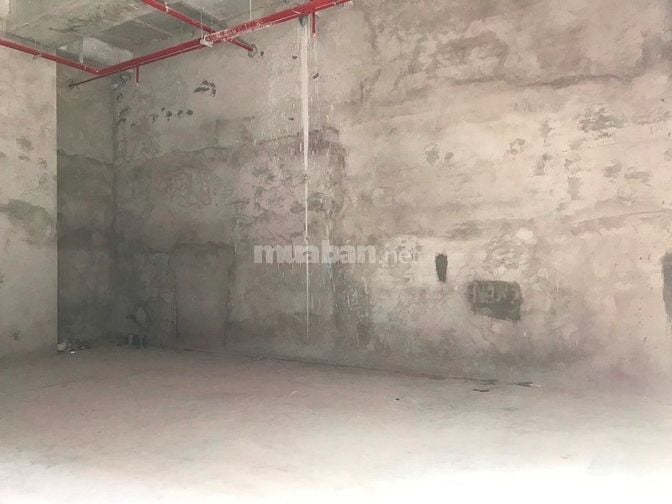 Cho thuê lô shophouse 15tr/1tháng diện tích 50m2 The Sun Avenue 54723351 Cho thuê lô shophouse 15tr/1tháng diện tích 50m2 The Sun Avenue