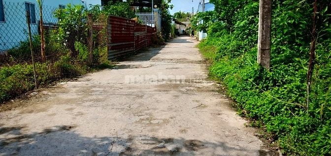 Bán Gấp Nhà 1 Trệt 1 Lầu Ngay Trung Tâm Phường 3 TP Vĩnh Long 54718155 Bán Gấp Nhà 1 Trệt 1 Lầu Ngay Trung Tâm Phường 3 TP Vĩnh Long