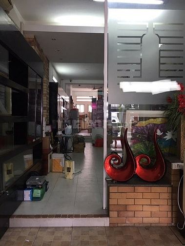 Nhà Cho thuê Nguyễn Huy Tưởng 4,2x25 trệt 1 lầu đúc thật, 3pn, nhà đep 54815738 Nhà Cho thuê Nguyễn Huy Tưởng 4,2x25 trệt 1 lầu đúc thật, 3pn, nhà đep