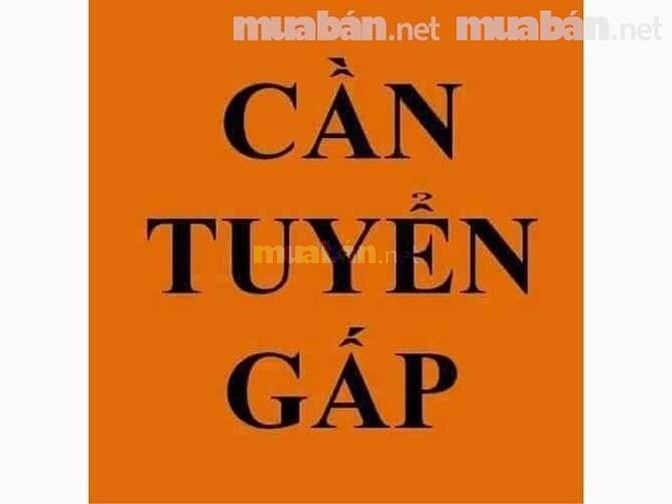 Trực tiếp nhận Nam/nữ - làm việc trong Siêu Thị Mini 54819932 Trực tiếp nhận Nam/nữ - làm việc trong Siêu Thị Mini