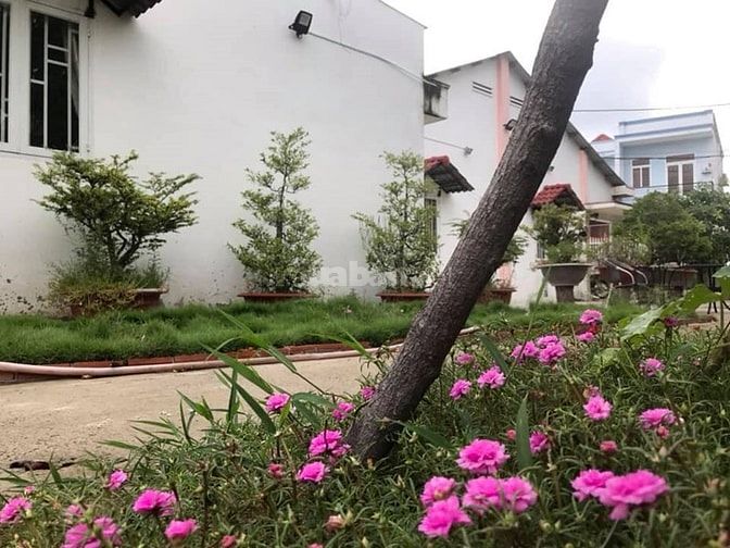 Biệt thự sân vườn, 800m², ngay Trung Tâm Thị Trấn Hóc Môn 54804494 Biệt thự sân vườn, 800m², ngay Trung Tâm Thị Trấn Hóc Môn