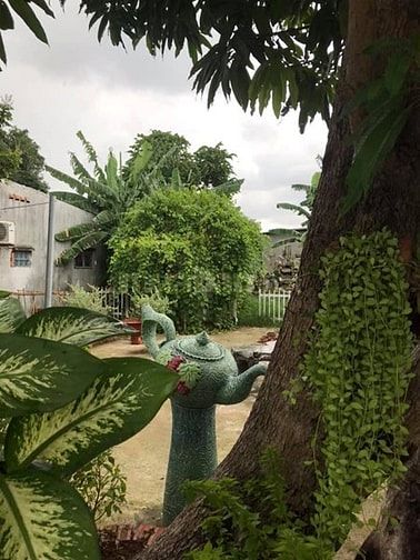 Biệt thự sân vườn, 800m², ngay Trung Tâm Thị Trấn Hóc Môn 54804494 Biệt thự sân vườn, 800m², ngay Trung Tâm Thị Trấn Hóc Môn