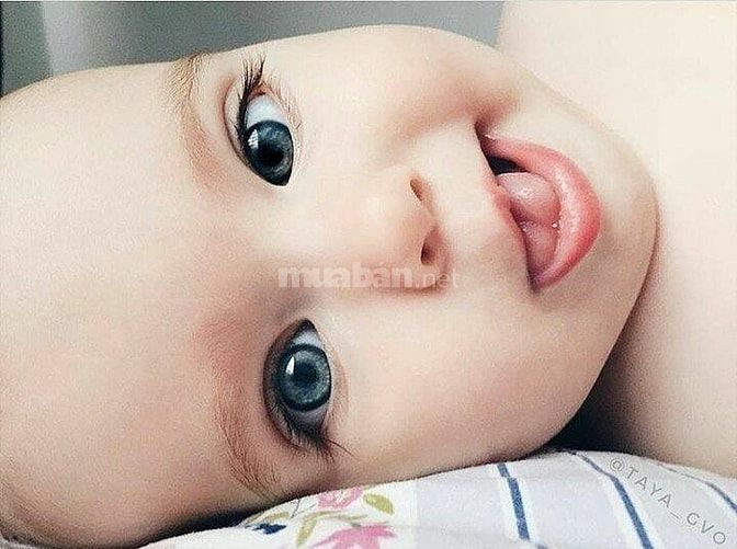 Cần người chăm bé tốt bụng chịu thương chịu khó 54820798 Cần người chăm bé tốt bụng chịu thương chịu khó