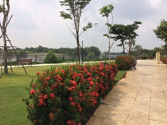 Phòng trọ sinh viên 1,5 triệu/tháng, ở ghép, tố đa 3 bạn 54832378 Phòng trọ sinh viên 1,5 triệu/tháng, ở ghép, tố đa 3 bạn