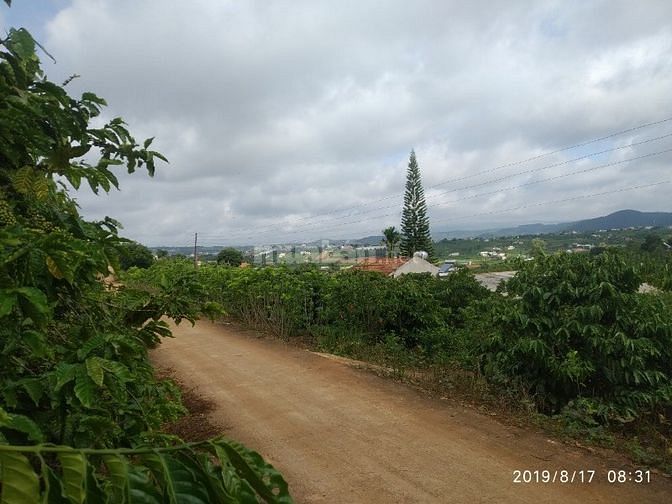 Đất thổ cư trung tâm xã Đông Thanh , Lâm Hà Lâm Đồng. 54825184 Đất thổ cư trung tâm xã Đông Thanh , Lâm Hà Lâm Đồng.