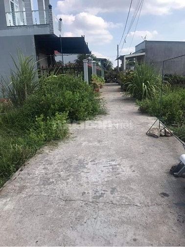 Bán gấp nền thổ cư 5*19m ở Mỹ Phong 54825295 Bán gấp nền thổ cư 5*19m ở Mỹ Phong