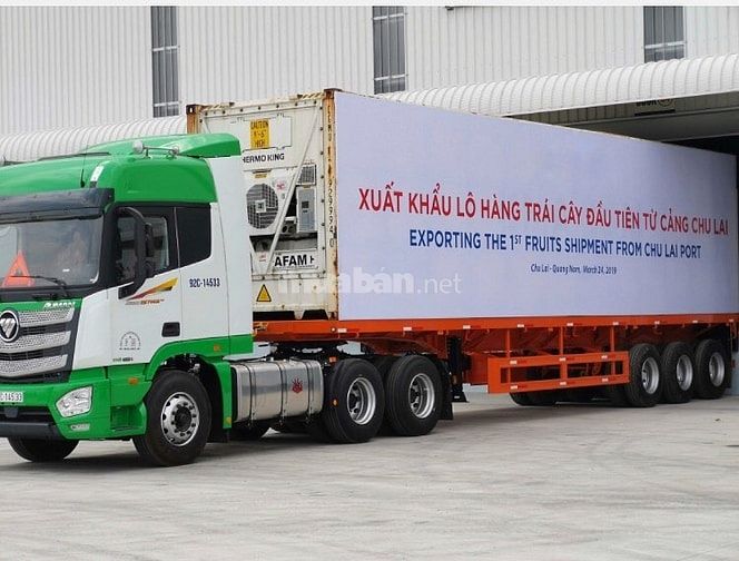 Tuyển gấp 10 lái xe đầu kéo khu vực Đồng Nai, Bình Dương, TP HCM 54803691 Tuyển gấp 10 lái xe đầu kéo khu vực Đồng Nai, Bình Dương, TP HCM