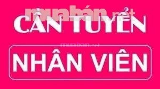 Tuyển nhân viên văn phòng , không yêu cầu kinh nghiệm 54843013 Tuyển nhân viên văn phòng , không yêu cầu kinh nghiệm