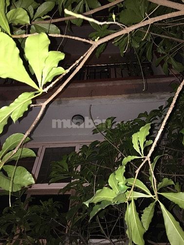 Cho thuê nhà 3 Tầng gần Cầu Định Công, Hoàng Mai, HN 54873414 Cho thuê nhà 3 Tầng gần Cầu Định Công, Hoàng Mai, HN