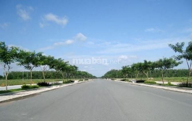 Vietcombank thanh lý 19 lô đất đường số 12 , Trần Văn Giàu Bình Chánh. 54884007 Vietcombank thanh lý 19 lô đất đường số 12 , Trần Văn Giàu Bình Chánh.