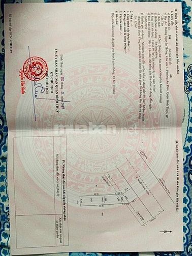 Bán nền mặt tiền đ.nguyễn thông xéo ủy ban p.an thới (4x16). 2,48 tỷ 54885708 Bán nền mặt tiền đ.nguyễn thông xéo ủy ban p.an thới (4x16). 2,48 tỷ