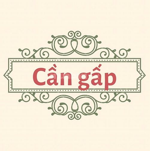 Mình cần thêm 5 sinh viên, không cần ngoại hình, bằng cấp, kinh nghiệm 54788649 Mình cần thêm 5 sinh viên, không cần ngoại hình, bằng cấp, kinh nghiệm