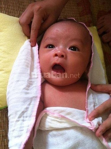 cần người chuyên về chăm em besơ sinh 54950182 cần người chuyên về chăm em besơ sinh