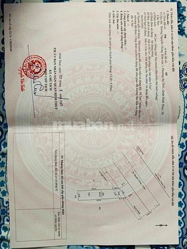 Nền Mặt Tiền Đường Nguyễn Thông Xéo Ủy Ban Phường An Thới - 4 x 16 54951726 Nền Mặt Tiền Đường Nguyễn Thông Xéo Ủy Ban Phường An Thới - 4 x 16
