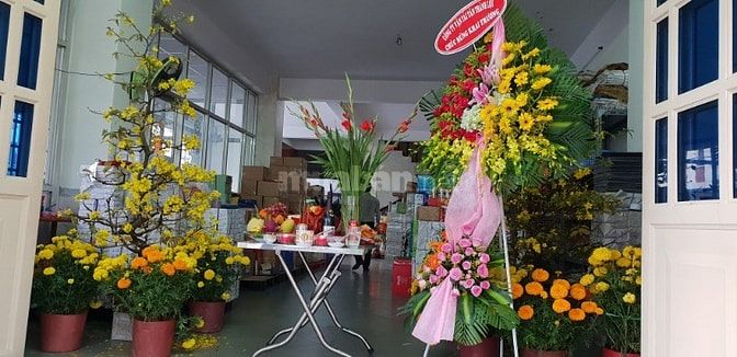 Tuyển nhân viên kế toán làm việc tại quận 6 54952006 Tuyển nhân viên kế toán làm việc tại quận 6