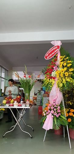 Tuyển nhân viên kế toán làm việc tại quận 6 54952006 Tuyển nhân viên kế toán làm việc tại quận 6