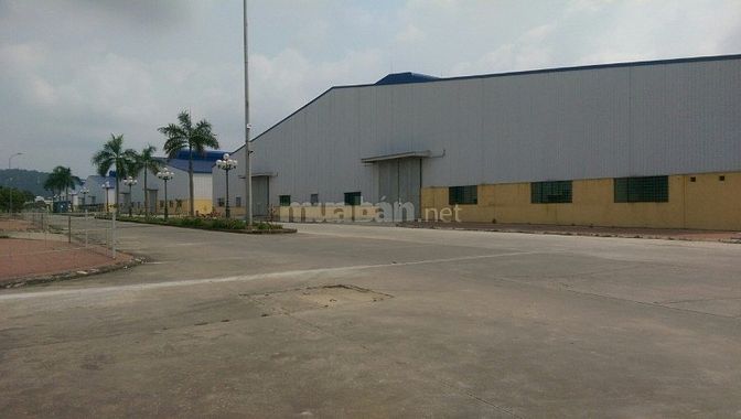 Cho thuê kho xưởng với nhiều diện tích tại QL2 Sóc Sơn Hà Nội 54929562 Cho thuê kho xưởng với nhiều diện tích tại QL2 Sóc Sơn Hà Nội