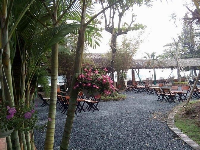 Tuyển phục vụ- pha chế- thu ngân- phụ bếp 54980691 Tuyển phục vụ- pha chế- thu ngân- phụ bếp