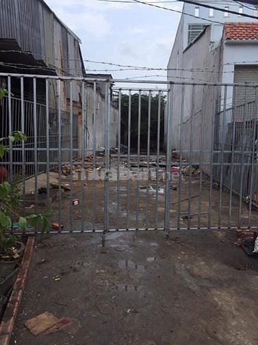 Bán miếng đất mặt tiền đường Tân Liêm, 5x36, đất vườn, sổ riêng 54966416 Bán miếng đất mặt tiền đường Tân Liêm, 5x36, đất vườn, sổ riêng