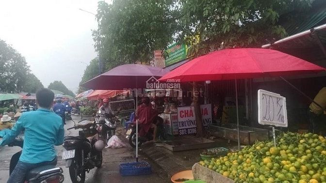 Về Quảng,ba tôi bán miếng kế góc ngay Cổng Siêu Thị chỉ cách QL13 50M 54546258 Về Quảng,ba tôi bán miếng kế góc ngay Cổng Siêu Thị chỉ cách QL13 50M