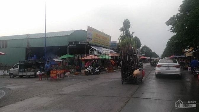 Về Quảng,ba tôi bán miếng kế góc ngay Cổng Siêu Thị chỉ cách QL13 50M 54546258 Về Quảng,ba tôi bán miếng kế góc ngay Cổng Siêu Thị chỉ cách QL13 50M