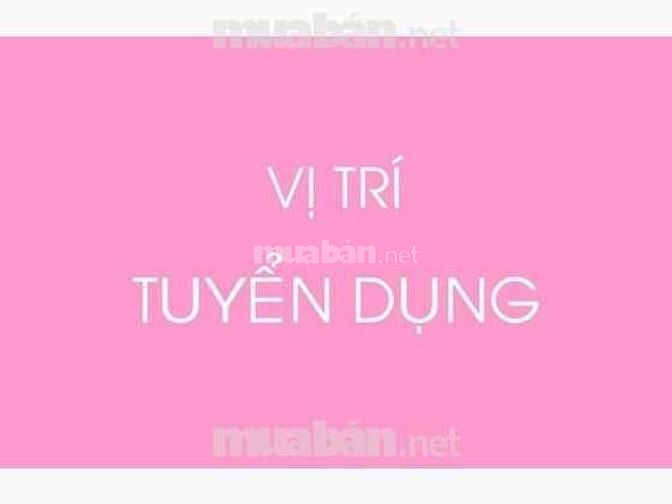 Cần tuyển gấp 02 nhân viên kế toán và thu ngân 54984352 Cần tuyển gấp 02 nhân viên kế toán và thu ngân