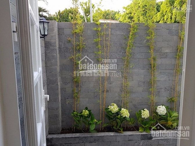 Biệt thự sân vườn ngay gigamill 11x22m 1 trệt 2 lầu 54985213 Biệt thự sân vườn ngay gigamill 11x22m 1 trệt 2 lầu