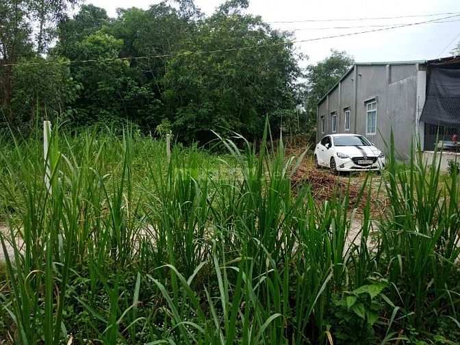 Bán 237m2 Ấp Chánh Xã Gia Bình,Trảng Bàng,Tây Ninh 540 triệu 53983433 Bán 237m2 Ấp Chánh Xã Gia Bình,Trảng Bàng,Tây Ninh 540 triệu