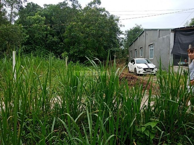 Bán 237m2 Ấp Chánh Xã Gia Bình,Trảng Bàng,Tây Ninh 540 triệu 53983433 Bán 237m2 Ấp Chánh Xã Gia Bình,Trảng Bàng,Tây Ninh 540 triệu