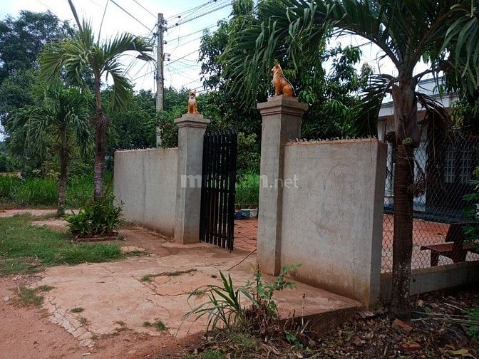 Bán 237m2 Ấp Chánh Xã Gia Bình,Trảng Bàng,Tây Ninh 540 triệu 53983433 Bán 237m2 Ấp Chánh Xã Gia Bình,Trảng Bàng,Tây Ninh 540 triệu