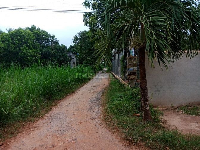 Bán 237m2 Ấp Chánh Xã Gia Bình,Trảng Bàng,Tây Ninh 540 triệu 53983433 Bán 237m2 Ấp Chánh Xã Gia Bình,Trảng Bàng,Tây Ninh 540 triệu