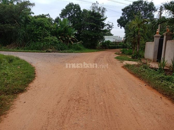 Bán 237m2 Ấp Chánh Xã Gia Bình,Trảng Bàng,Tây Ninh 540 triệu 53983433 Bán 237m2 Ấp Chánh Xã Gia Bình,Trảng Bàng,Tây Ninh 540 triệu