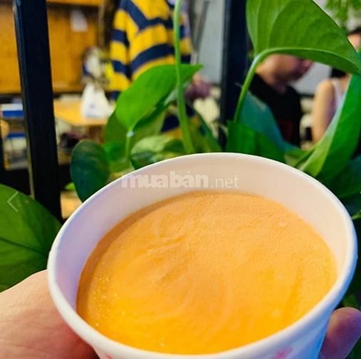 Cần chuyển nhượng quán Cafe hẻm 7A Thành Thái, Quận 10 55130285 Cần chuyển nhượng quán Cafe hẻm 7A Thành Thái, Quận 10