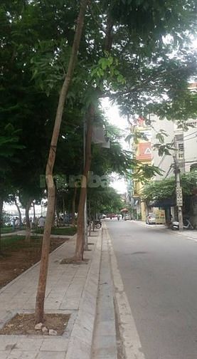 Bán đất xây văn phòng 252-254 Cống Quỳnh phường Phạm Ngũ Lão quận 1 55165346 Bán đất xây văn phòng 252-254 Cống Quỳnh phường Phạm Ngũ Lão quận 1