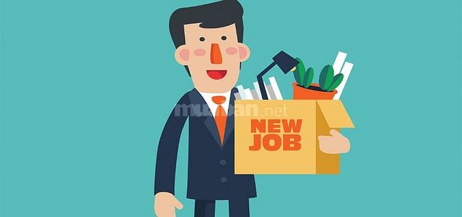 Nhân viên hỗ trợ đơn hàng làm việc hành chính 55154541 Nhân viên hỗ trợ đơn hàng làm việc hành chính
