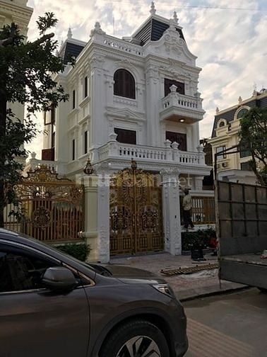Cho Thuê nhà từ 3-50 phòng phù hợp với mọi khách hàng 55160705 Cho Thuê nhà từ 3-50 phòng phù hợp với mọi khách hàng