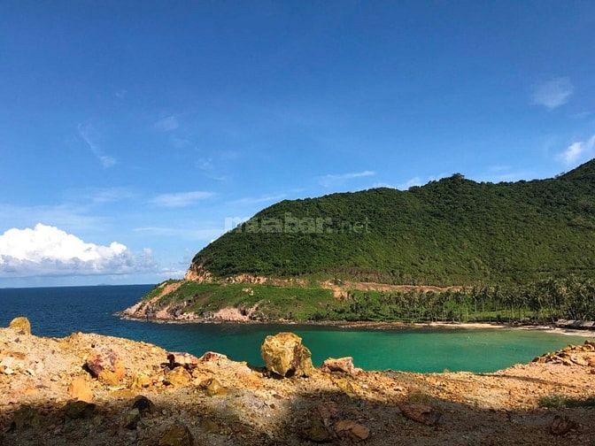 Cầng người làm không vướng bận gia đình 55175969 Cầng người làm không vướng bận gia đình