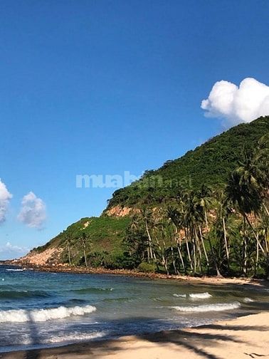 Cần người ko vướng bận gia đình làm việc nhà 55179274 Cần người ko vướng bận gia đình làm việc nhà