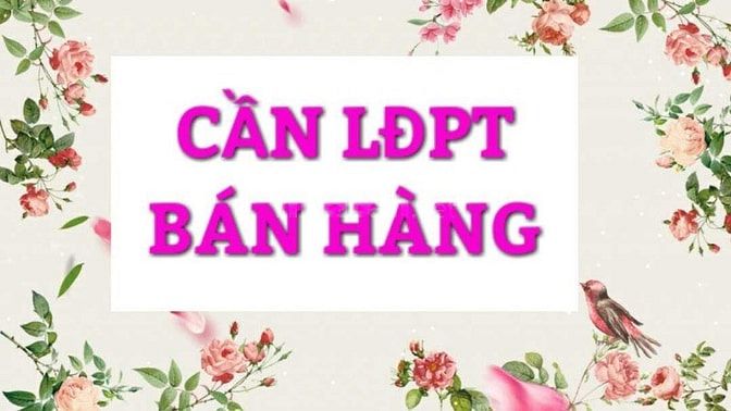 Cần LĐPT phụ việc thời gian hành chính hoặc theo ca 55238099 Cần LĐPT phụ việc thời gian hành chính hoặc theo ca