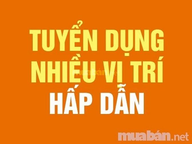 Cần gấp vài bạn hỗ trợ bán hàng 55271043 Cần gấp vài bạn hỗ trợ bán hàng