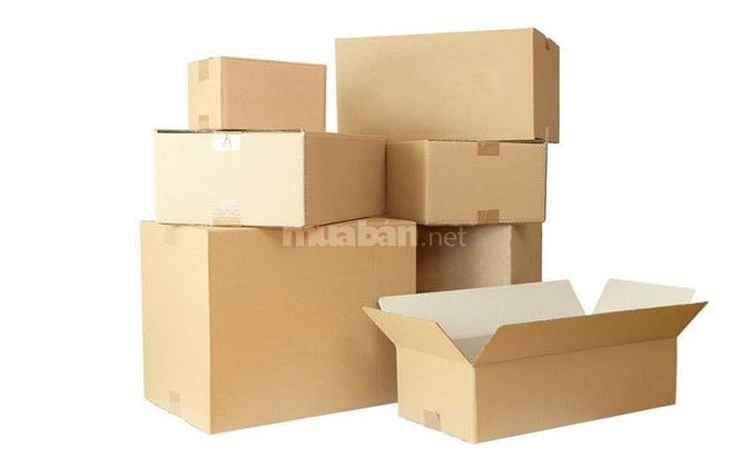 Công Nhân Sản Xuất Bìa Carton. 55242158 Công Nhân Sản Xuất Bìa Carton.