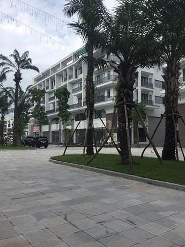 Cần cho thuê 2 căn LK cạnh nhau và 2căn Shophouse tại dự án Monbay HL 55242617 Cần cho thuê 2 căn LK cạnh nhau và 2căn Shophouse tại dự án Monbay HL