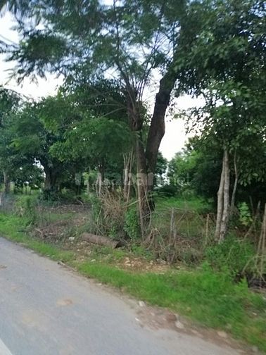 Bán 6ha đất giáo dục tại thị xã Sơn Tây, Hà Nội. Giá: 2,2tr/m2. 55280701 Bán 6ha đất giáo dục tại thị xã Sơn Tây, Hà Nội. Giá: 2,2tr/m2.