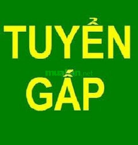 Tuyển kế toán, làm tại 505 Minh Khai, lương 8 triệu/tháng 55294170 Tuyển kế toán, làm tại 505 Minh Khai, lương 8 triệu/tháng